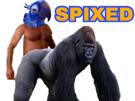 macaw-harambe-sexe-spix-blu-cul-spixed-other-pls