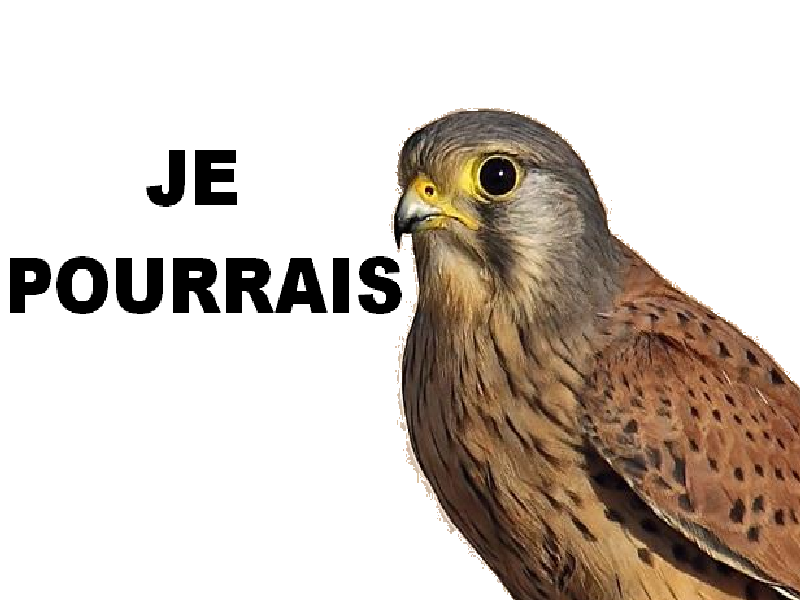 nante faucon drapeau