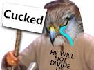 labeouf-cucked-cuck-faucon-risitas-pleur