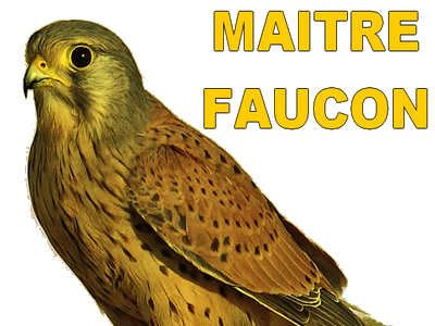 risitas faucon maitre master drapeau