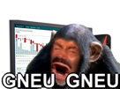 ethereum-bitcoin-risitas-shill-trader-crypto-singe-gneu