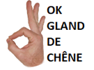 chene-jvc-de-ok-gland