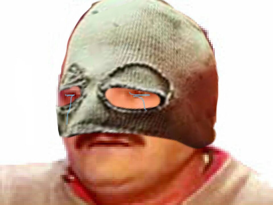 stup pls risitas kingju