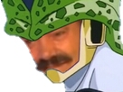 issou risitas cell