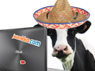 vache-barre-danse-jvc-mexique-mexicain-recherche-chanson-guitare-risitas-de-jeuxvideocom-webedia