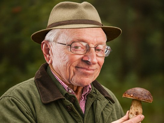larry silverstein chance lucky champignon champignons mushroom cueillette foret bolet cepe