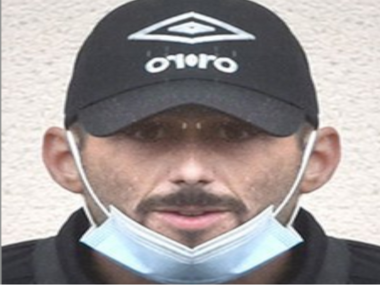 cedric jubilar delphine meurtre suspect