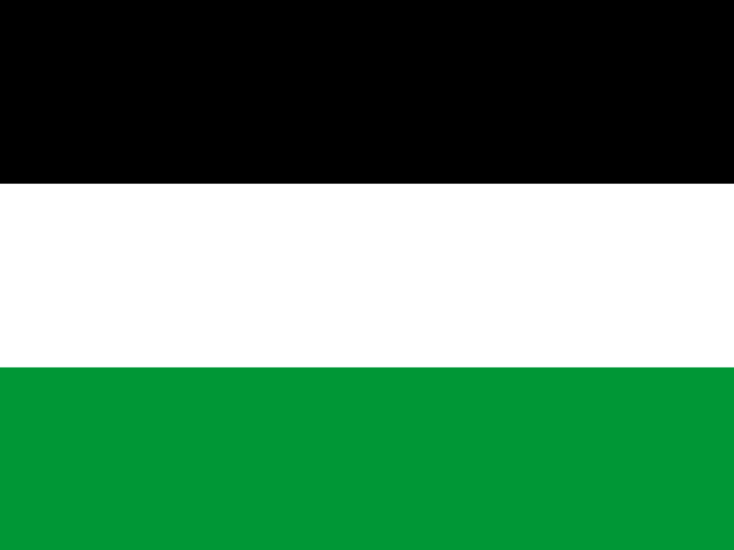 palestine drapeau 2 suite tricolore noire blanc vert pasteque gaza guerre conflit moyen-orient flag knifos