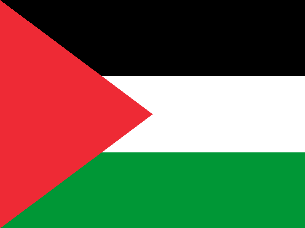 palestine drapeau 1 debut tricolore noire blanc vert pasteque gaza guerre conflit moyen-orient flag knifos
