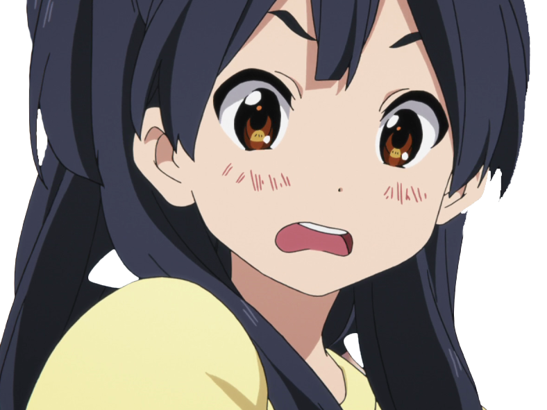 kj kikoojap anime kitashirakawa anko market tamako