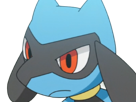 riolu-pokemon-pkm-jeu-anime-bebe-type-combat-4g-sinnoh-aura-emanation