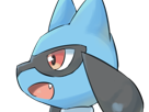 riolu-pokemon-pkm-jeu-anime-bebe-type-combat-4g-sinnoh-aura-emanation