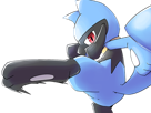 riolu-pokemon-pkm-jeu-anime-bebe-type-combat-4g-sinnoh-aura-emanation