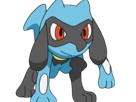 riolu-pokemon-pkm-jeu-anime-bebe-type-combat-4g-sinnoh-aura-emanation
