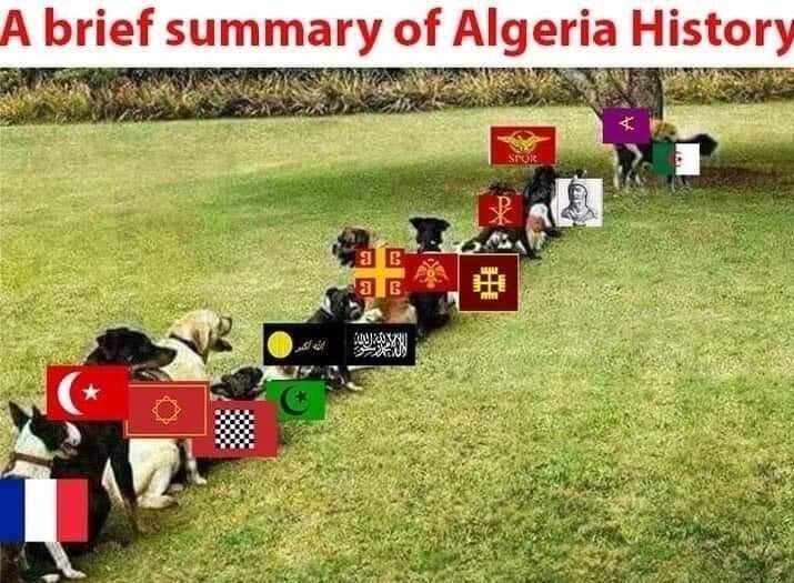 algerie donut sodo fist colonie cuck qlf