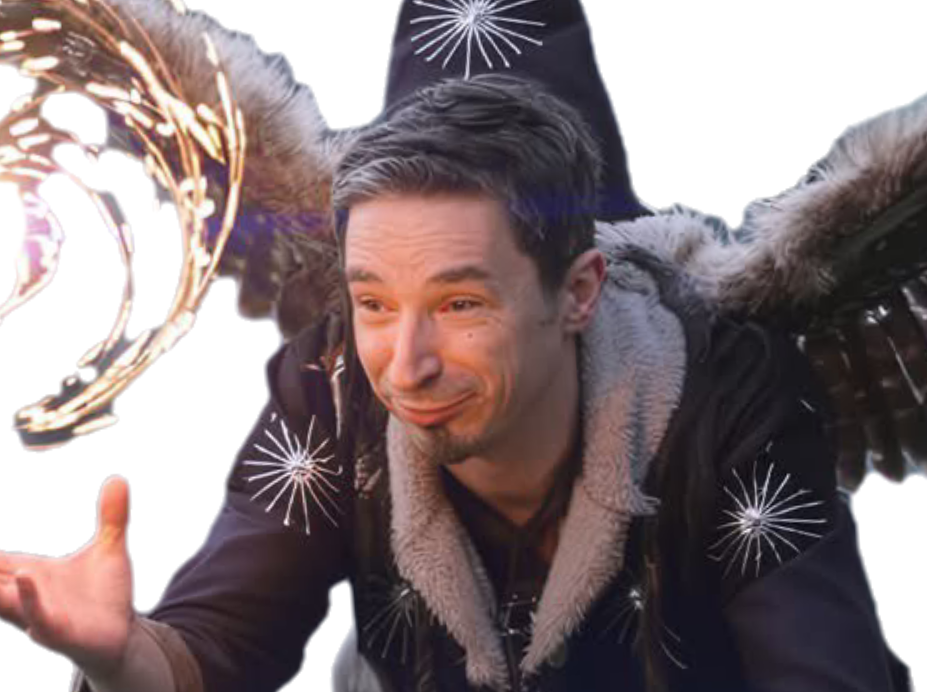 zoulman chouette aile