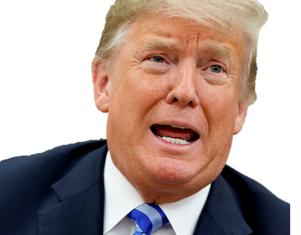 donald trump djt maga usa president idiot