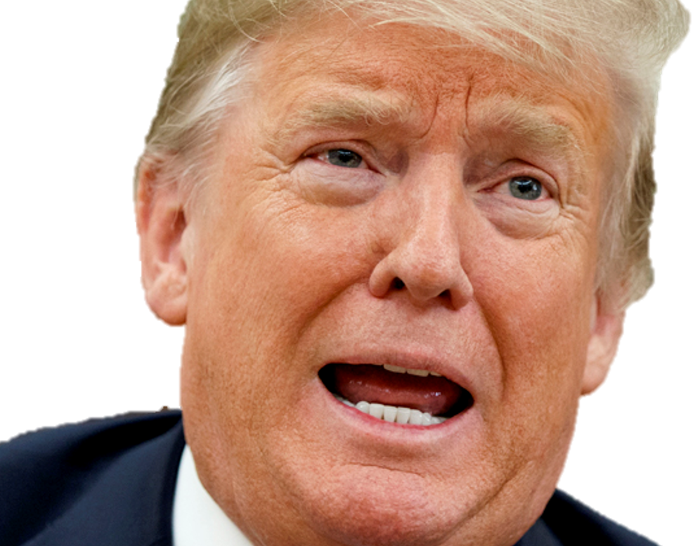 donald trump djt usa maga president idiot