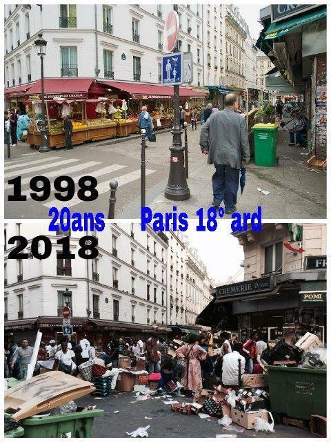 alloc gred immigre cotise mouse hidalgo eiffel revenu rats taxe mulot impot seine louvre tlm