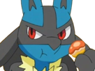 lucario-pokemon-pkm-jeu-anime-type-combat-acier-4g-sinnoh-aura-emanation