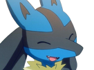 lucario-pokemon-pkm-jeu-anime-type-combat-acier-4g-sinnoh-aura-emanation