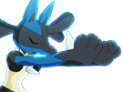 lucario-pokemon-pkm-jeu-anime-type-combat-acier-4g-sinnoh-aura-emanation