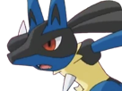 lucario-pokemon-pkm-jeu-anime-type-combat-acier-4g-sinnoh-aura-emanation