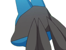 lucario-pokemon-pkm-jeu-anime-type-combat-acier-4g-sinnoh-aura-emanation