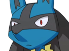 lucario-pokemon-pkm-jeu-anime-type-combat-acier-4g-sinnoh-aura-emanation