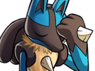 lucario-pokemon-pkm-jeu-anime-type-combat-acier-4g-sinnoh-aura-emanation