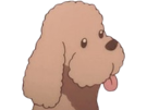 makkachin-yurionice-dog-toutou