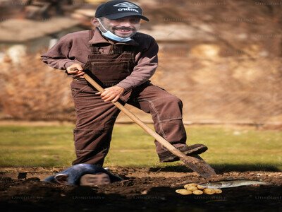 rip le c tolstoi sextoy