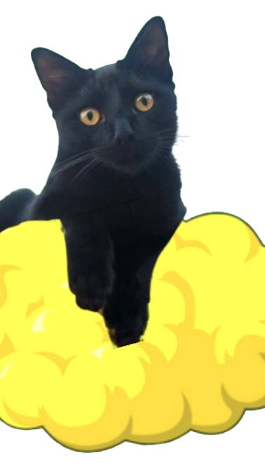 chat noir nuage dragon ball z mignon