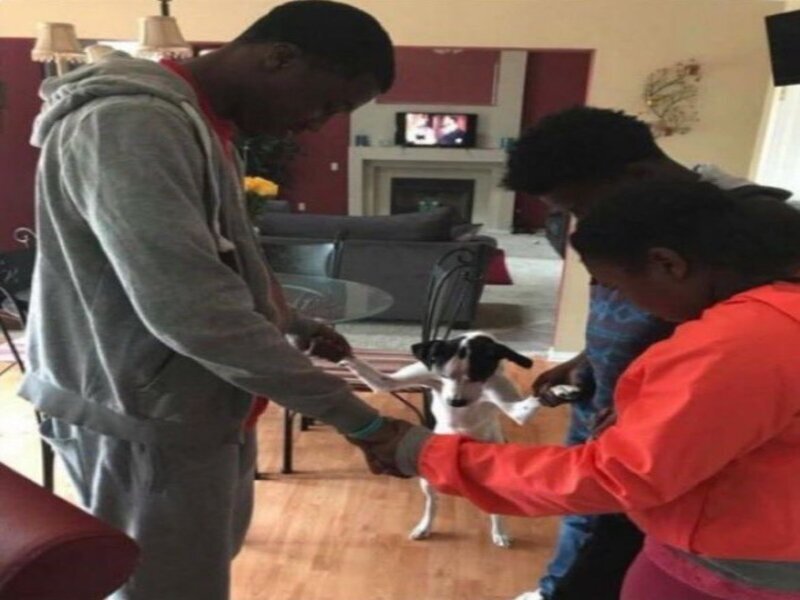 prie priere supplie voeu vouloir chien famille