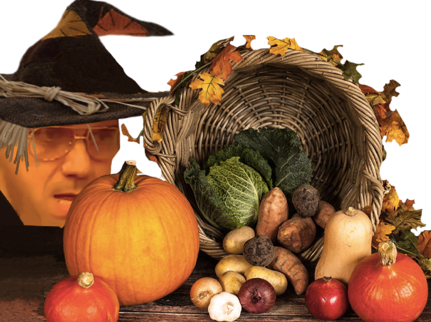 automne octobre epouvantail halloween legumes potager bourdon inconnus tacos bave pervers citrouilles salade rachid fruits