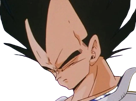 its-over-bro-finito-pipo-jover-triste-baisse-les-yeux-never-began-dbz-saiyan-vegeta