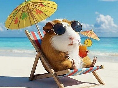 cochon inde cocktail glasses plage chill guinea pig relax cute