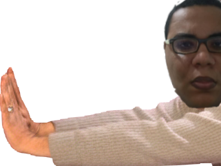 giuseppe pousse risitas umd monstre cadillac bois colombes bete