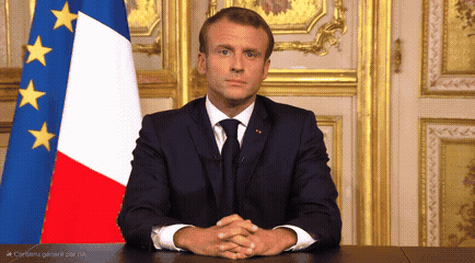macron doigt troll lrem