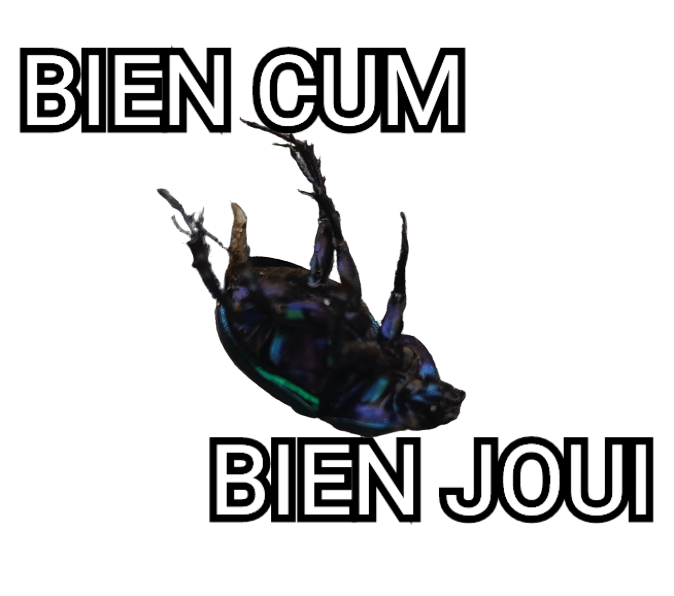 bien joui cum ejacule comme un gros porc sale chien scarabee