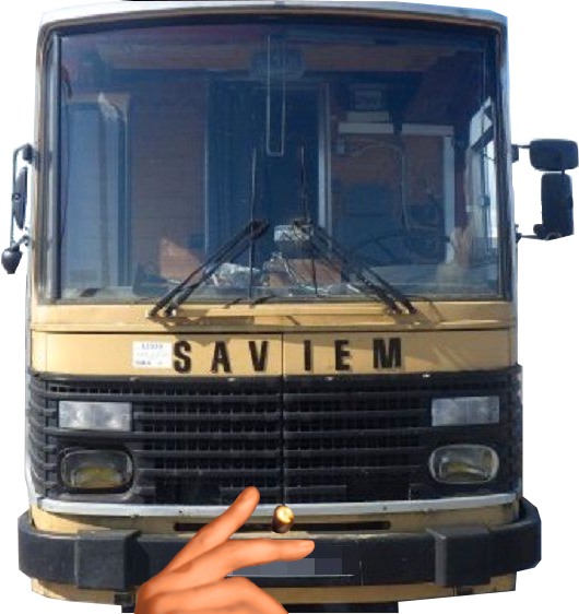 cecile perrichon tribu gigalax cassos french dream coach mindset audace joyeuse ponzi bus inondation aah