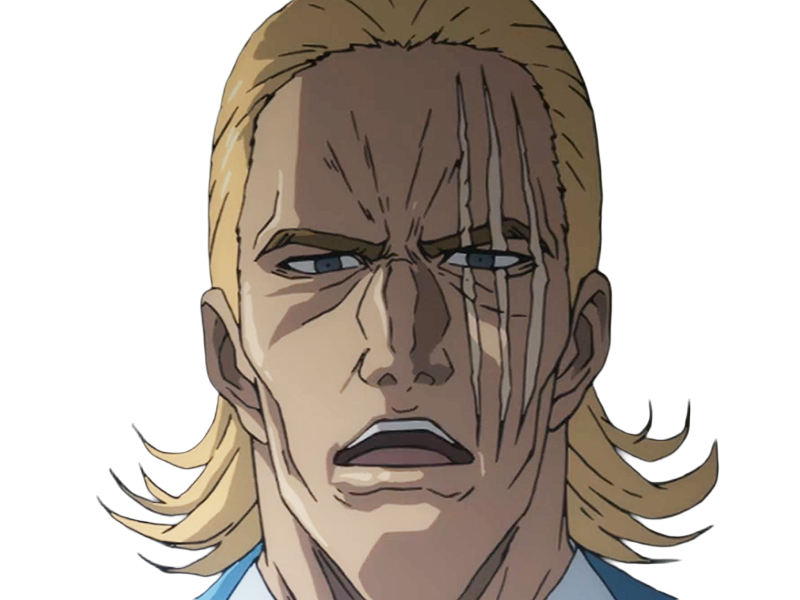 king heros one punch man opm balafre geek otaku cheveuxblonds yeuxbleus manga anime classe s