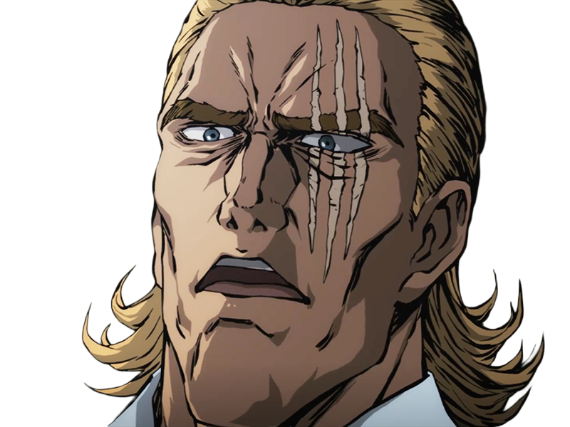 king heros one punch man opm balafre geek otaku cheveuxblonds yeuxbleus manga anime classe s