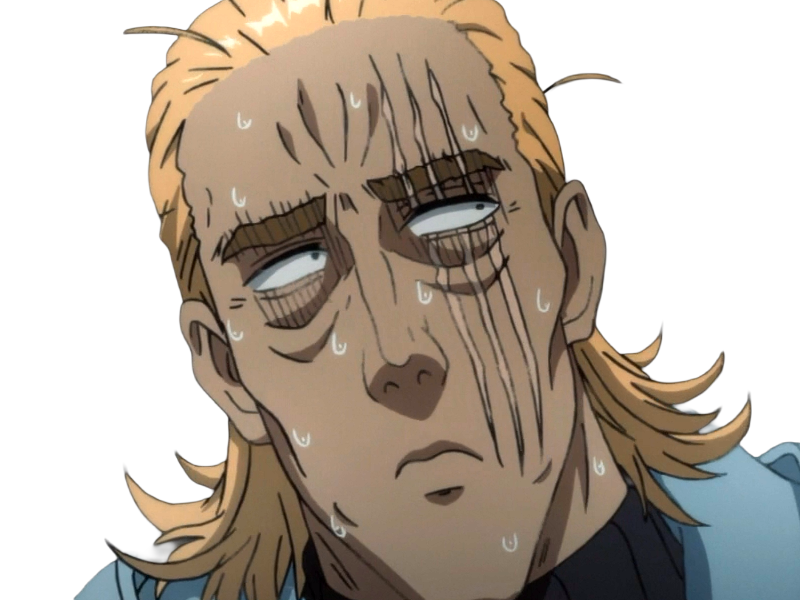 king heros one punch man opm balafre geek otaku cheveuxblonds yeuxbleus manga anime classe s