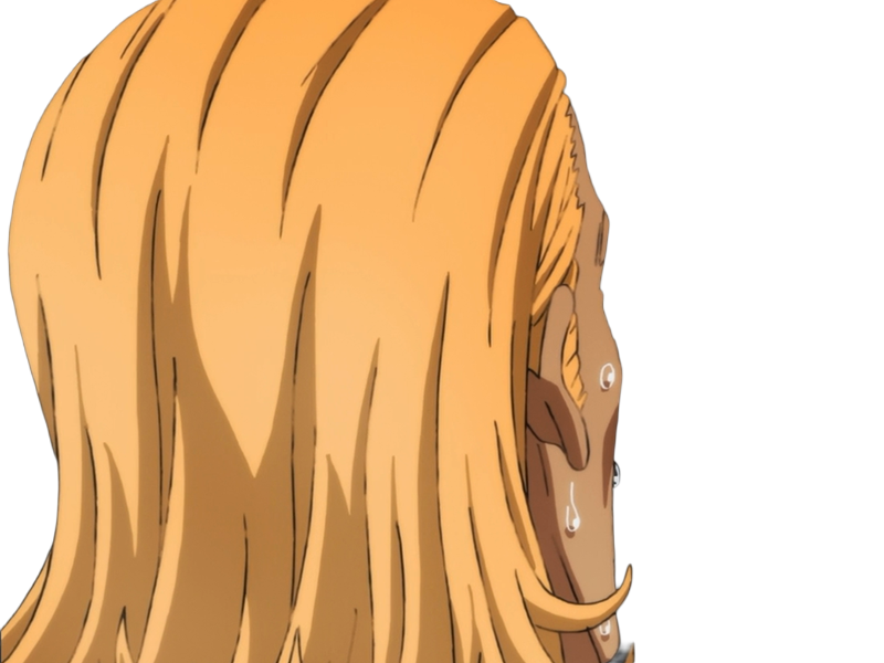 king heros one punch man opm balafre geek otaku cheveuxblonds yeuxbleus manga anime classe s