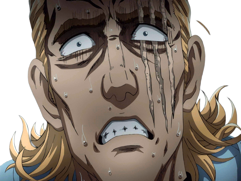 king heros one punch man opm balafre geek otaku cheveuxblonds yeuxbleus manga anime classe s