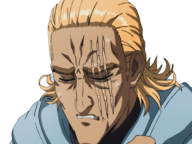 king heros one punch man opm balafre geek otaku cheveuxblonds yeuxbleus manga anime classe s