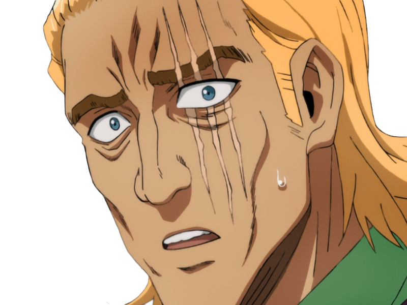 king heros one punch man opm balafre geek otaku cheveuxblonds yeuxbleus manga anime classe s