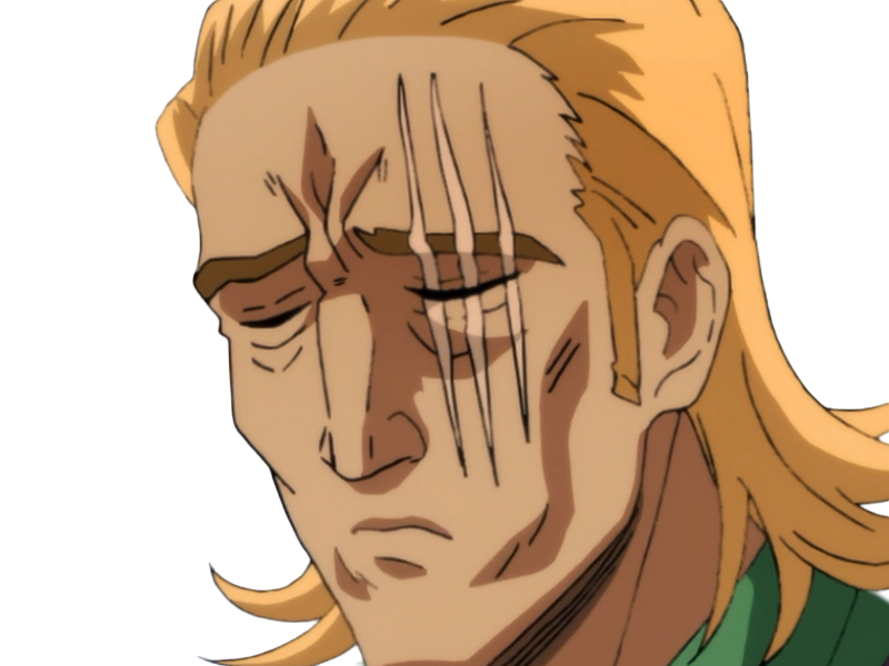 king heros one punch man opm balafre geek otaku cheveuxblonds yeuxbleus manga anime classe s