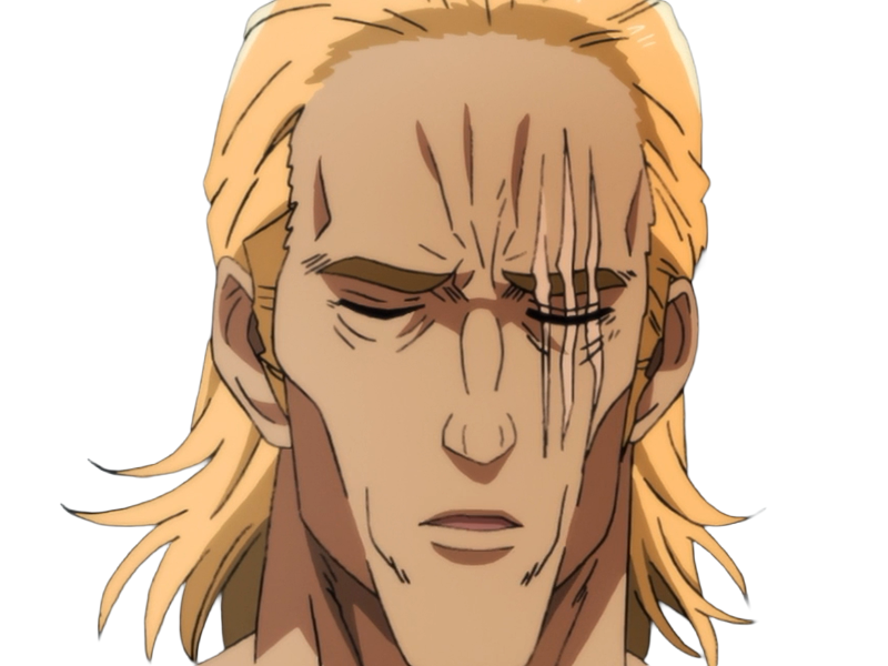 king heros one punch man opm balafre geek otaku cheveuxblonds yeuxbleus manga anime classe s